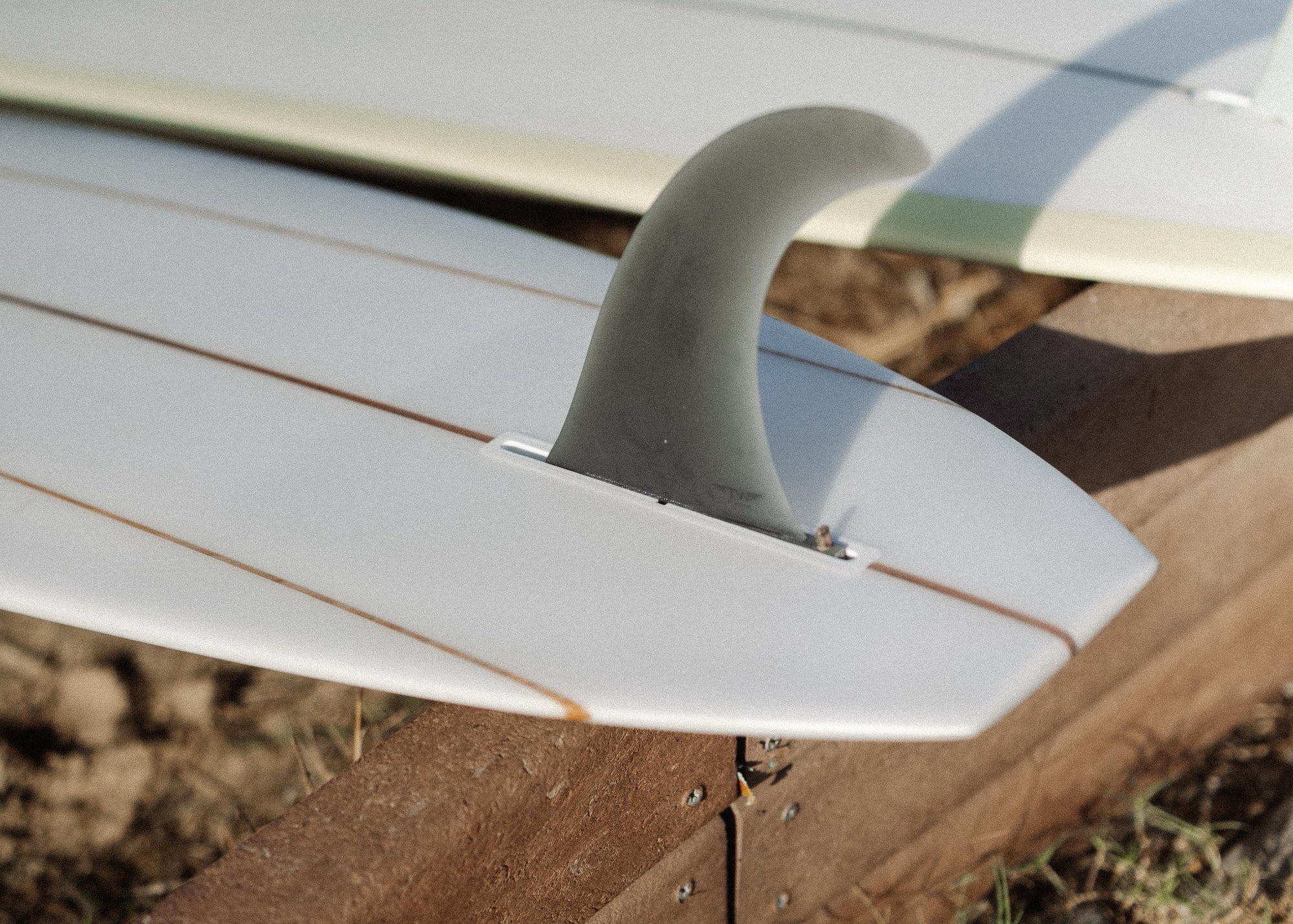 Longboard & Movement with Vasco Monica | Alentejo, Portugal